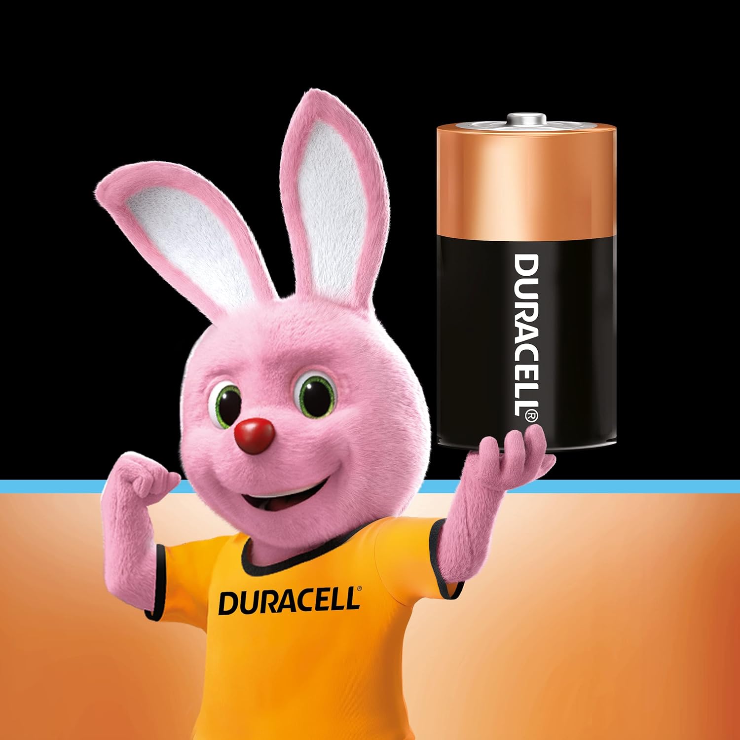 DURACELL, अल्कलाइन बैटरी - अल्ट्रा D2 | 2 का सेट. 