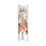 ZIG, Calligraphy Pen - Dual Tip | Set of 3.