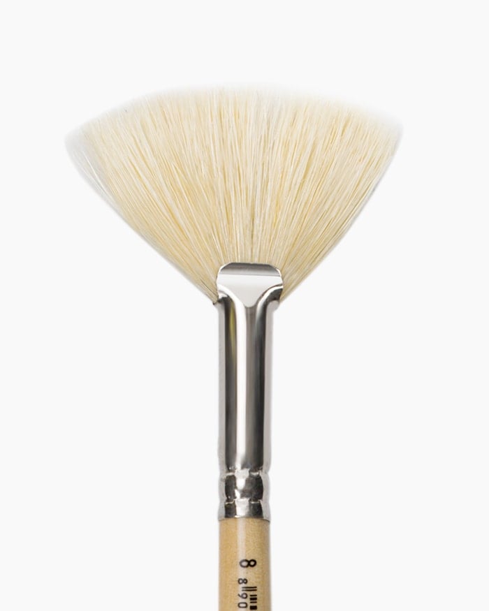 CAMEL, Paint Brush - WHITE  BRISTLE | Series 56 | FLAT & FAN.