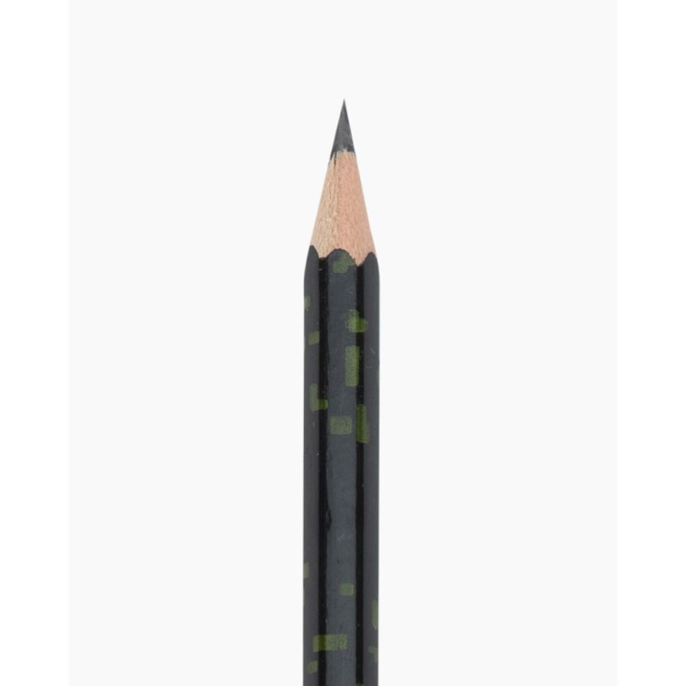 CAMLIN, Drawing Pencils | Set of 10.